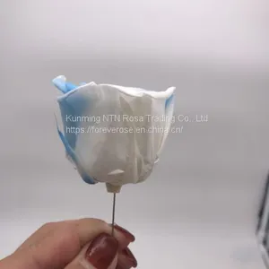 Handmade Immortal Flowers Preserved Flower Rose, Never Withered Roses thumbnail-1