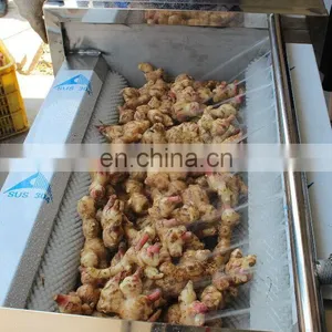 Commercial Low Price Vegetable Brush Cleaner Washer Potato Baby Carrot Onion Peeling Machine for Sale thumbnail-7
