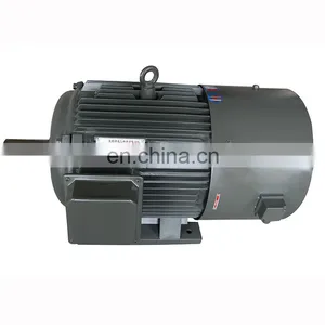 ac Induction Motor 20kw thumbnail-2