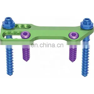 Quality Assured Orthopedic Surgery Implants Thoracolumbar Screw for Anterior Thoracolumbar Plate System thumbnail-2