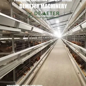 Layer Chicken Cage for Sale in Nigeria thumbnail-3
