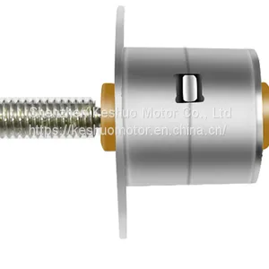 10BY Stepper Motor thumbnail-1