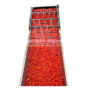 Commercial Complete Tomato Powder Production Line thumbnail-1