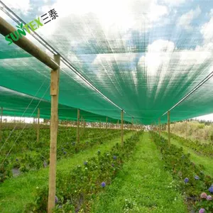 65% Shading Green Shade Net Roll 2*50m 4*50m 6*50m 8*50m Woven Shade Fabric for Plants Garden Ready to Ship thumbnail-4