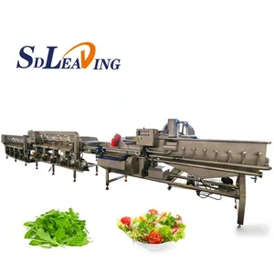 Industrial Vegetables and Fruit Washing Machine Commercial Automatic Bubble Spray Washer Equipment for Food Processing Plant thumbnail-1