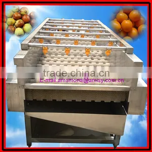 Commercial Red Date Washing Machine|Automatic Olive Cleaning Machine thumbnail-1