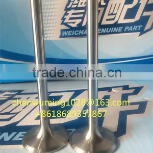 WEICHAI WD615/618 Intake Valve 612600050073 thumbnail-1