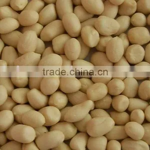 Blanched Peanut Kernel thumbnail-1