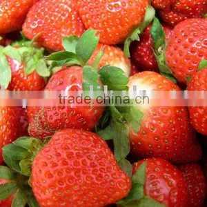 Frozen Strawberry thumbnail-1