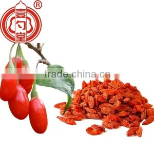 Medicinal Edible Healthy Goji Berries Fruit Ningxia Medlar Dried Gou Qi Zi Boxthorn Fruit thumbnail-1
