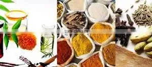 All Spice Oleoresin 30% thumbnail-1