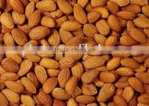 Stainless Steel Almond Cutter With Best Price thumbnail-2
