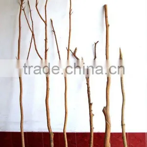 Natural Tree Trunk thumbnail-1