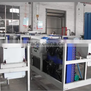 1T Block Ice Making Machine Direct Freezing Trasparent Ice Block, Hot Sale in China thumbnail-1
