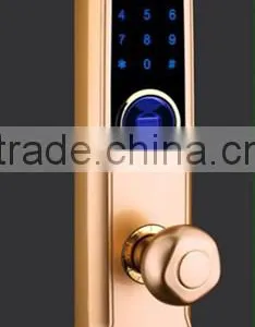 Electronic Lock Combination Lock Finer Print Password Remote Round Handles no Key Holes thumbnail-1