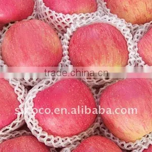 Sell Super Fuji Apple Fruit thumbnail-1