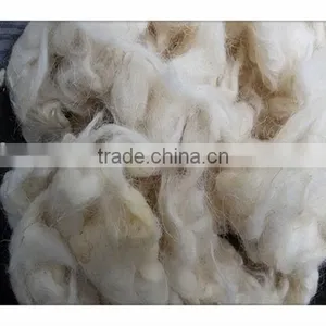 Chinese Hot Sale New and Best Quality Carpet Grade Washed Wool Permethrine Free no Tar no Paint and no PP thumbnail-1