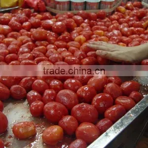 Canned Tomato Paste Triple Concentrate Tomato Sauce Aseptic Tomato Paste thumbnail-3