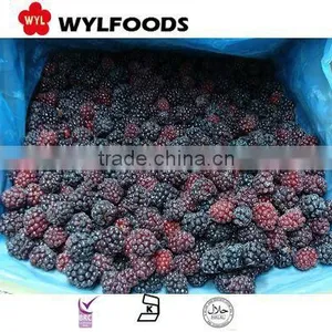 Chian Fruite Frozen IQF Black Berry thumbnail-2
