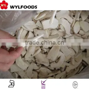 Mushroom Frozen IQF Pleurotus Eryngii 2015 High Quality thumbnail-3