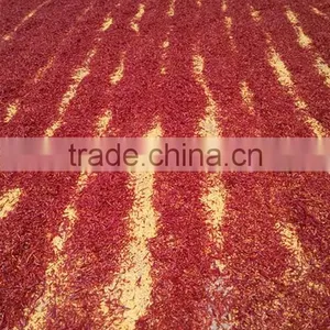 Chilli Wholesaler Elongated Chilli Dried Chilli Threaded thumbnail-1