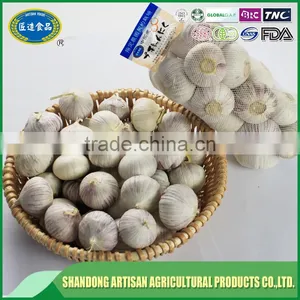 Fresh Single Clove Garlic thumbnail-1