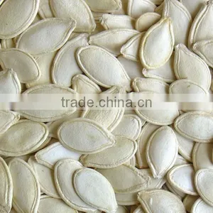 Shine-skin Pumpkin Seeds for Wholesale From China thumbnail-1