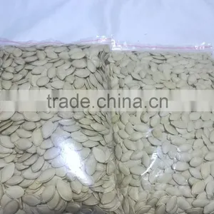 Shine Skin Pumpkin Seeds in Shell 10mm up thumbnail-5