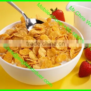 High Quality Extruded Breakfast Cereals Corn Flakes Machine thumbnail-3