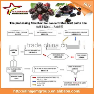 Mulberry Paste Making Production Line High Viscosity Liquid Filling Machine thumbnail-5