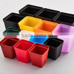 Flower Pot for Succulent Plant thumbnail-1