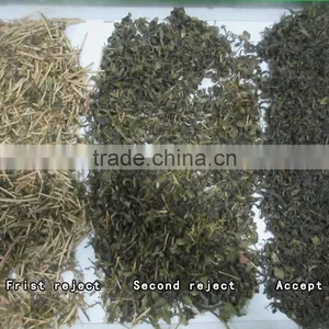 ZRWS Intelligent Color CCD Camera Green Tea Color Sorter thumbnail-3