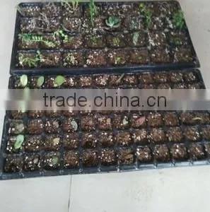 Eco-friendly 200 Cell Black Plastic Nursery Plug Tray thumbnail-1