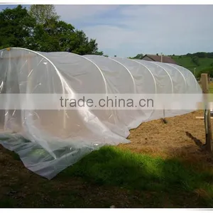 Clear Agricultural Greenhouses uv Protective Plastic Film thumbnail-2