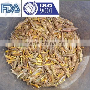 Pet Food Supplies Frozen Dried Grasshopper thumbnail-1