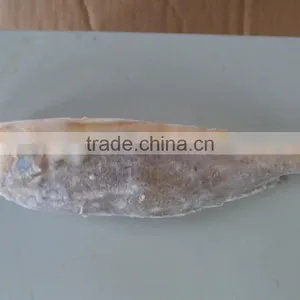 Frozen Yellow Croaker 75/100 G/pc thumbnail-2