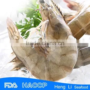 Frozen White Shrimp Vannamei Shrimp Hoso thumbnail-4