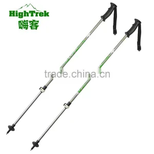 Alpine Ski Pole thumbnail-1