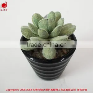 Wholesale Artificial Plants Mini Succulents for Indoor Decoration thumbnail-1