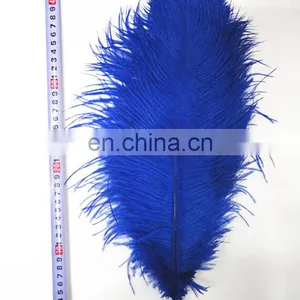 Ostrich Feather thumbnail-3