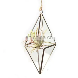 Terrarium Rhombus Geometric Glass Terrarium Wholesale thumbnail-3