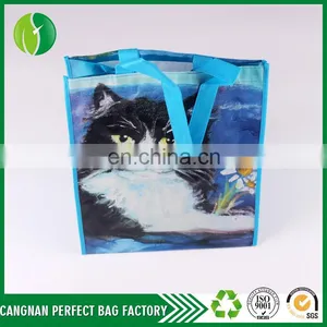 Customize Cheap Price Eco-Friendly And Heavy Duty Non Woven Reusable Printing Shopping Bag thumbnail-6