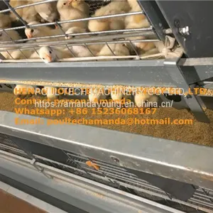 Cameroon Poultry Farm Automatic Pullet Cage & Baby Chicken Cage Used in Chicken Shed thumbnail-2