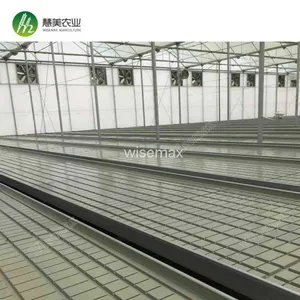 Rolling Wire Greenhouse Bench Grow Tray Ebb and Flow Hydroponic Systems thumbnail-1