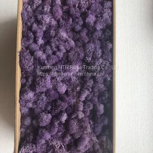 Factory Supply Preserved Green Moss for Flower Box DIY thumbnail-1