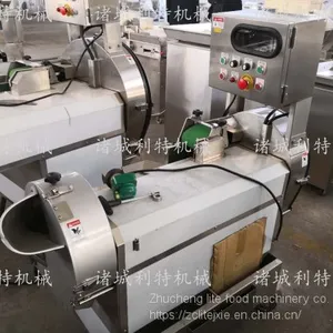 Clean Vegetable Water Washing Machine Clean Vegetable Eddy Current Cleaning Line Clean Vegetable Processing Equipment thumbnail-3