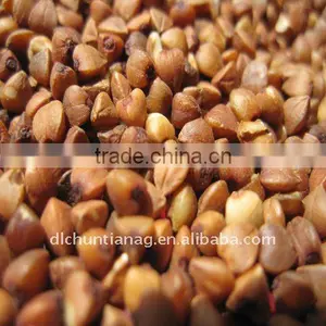 Organic Chinese Roasted Buckwheat Kernels thumbnail-1