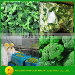 Best Chinese Frozen and IQF Broccoli thumbnail-1