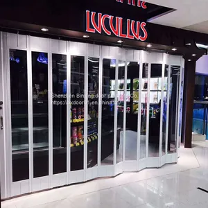 Newest Design Professional Aluminum Alloy Folding Door for Mall, Hotel, Villa and Apartment thumbnail-2
