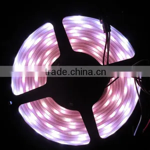 Tube Waterproof DC5V Dream Color Changing & Full Color Changing RGB WS2812 Flexible LED Strip Euipped With 5050 SMD thumbnail-5